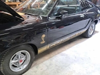 1976 Ford Cobra for sale (ID-127173)