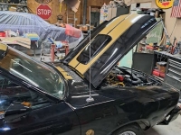 1976 Ford Cobra for sale (ID-127173)