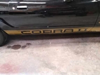 1976 Ford Cobra for sale (ID-127173)
