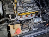 1976 Ford Cobra for sale (ID-127173)