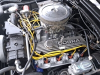 1976 Ford Cobra for sale (ID-127173)