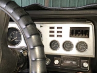 1976 Ford Cobra for sale (ID-127173)