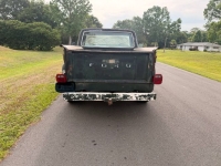 1976 Ford F100 for sale in Michigan (ID-163479)