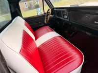 1976 Ford F100 for sale in Michigan (ID-163479)