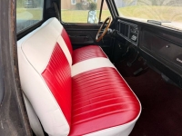 1976 Ford F100 for sale in Michigan (ID-163479)
