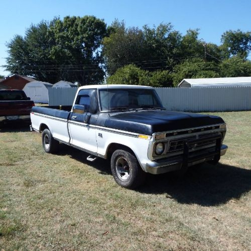 1976 Ford F150 for sale in Michigan (ID-110196)