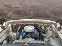 1976 Ford F150 for sale in Michigan (ID-116531)