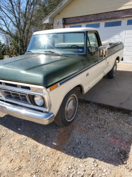 1976 Ford F150 for sale in Michigan (ID-125007)