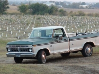 1976 Ford F150 for sale in Michigan (ID-125007)