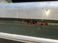 1976 Ford F150 for sale in Michigan (ID-125007)