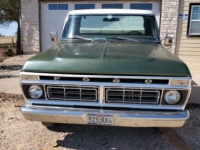 1976 Ford F150 for sale in Michigan (ID-125007)