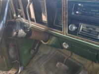 1976 Ford F150 for sale in Michigan (ID-125007)
