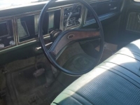 1976 Ford F150 for sale in Michigan (ID-125007)