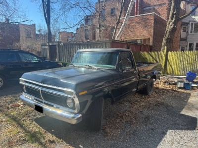 1976 Ford F150 for sale