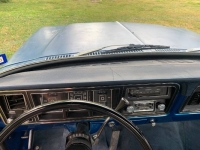 1976 Ford F150 for sale in Michigan (ID-137898)
