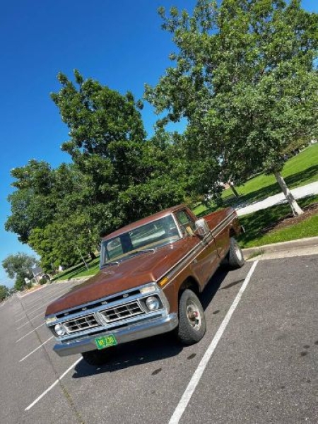 1976 Ford F150 for sale in Michigan (ID-143193)