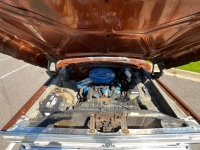 1976 Ford F150 for sale in Michigan (ID-143193)