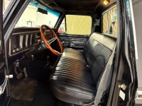 1976 Ford F150 for sale in Michigan (ID-143862)