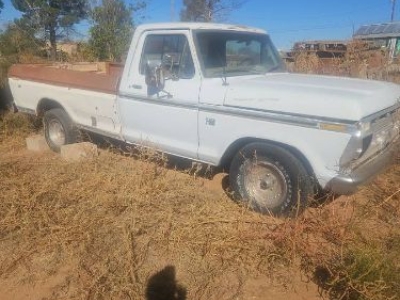 1976 Ford F150 for sale at $7,495