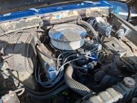 1976 Ford F150 for sale in Michigan (ID-155087)