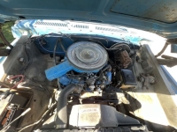 1976 Ford F250 for sale in Michigan (ID-144058)