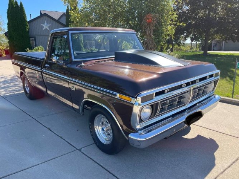 1976 Ford F250 for sale in Michigan (ID-162527)