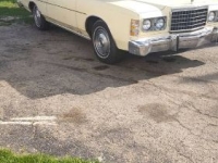 1976 Ford LTD for sale in Michigan (ID-138916)