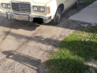 1976 Ford LTD for sale in Michigan (ID-138916)