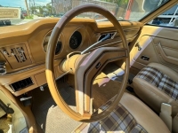 1976 Ford Maverick for sale in Michigan (ID-132786)