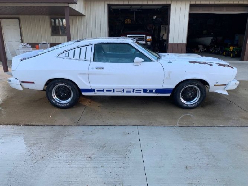 1976 Ford Mustang for sale in Michigan (ID-123546)