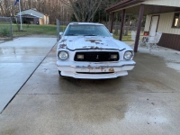 1976 Ford Mustang for sale in Michigan (ID-123546)