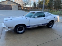 1976 Ford Mustang for sale in Michigan (ID-123546)