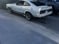 1976 Ford Mustang for sale in Michigan (ID-141401)