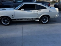 1976 Ford Mustang for sale in Michigan (ID-141401)