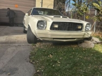 1976 Ford Mustang for sale in Michigan (ID-141401)