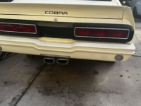 1976 Ford Mustang for sale in Michigan (ID-141401)