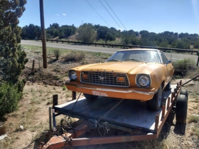 1976 Ford Mustang for sale