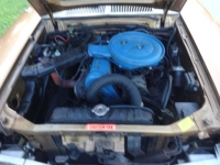 1976 Ford Pinto for sale in Michigan (ID-133713)