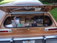 1976 Ford Pinto for sale in Michigan (ID-133713)