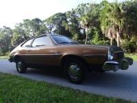 1976 Ford Pinto for sale in Michigan (ID-133713)