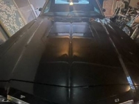 1976 Ford Ranchero for sale in Michigan (ID-111571)