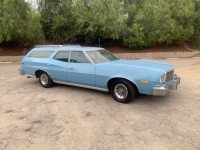 1976 Ford Torino for sale in Michigan (ID-155089)