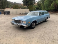 1976 Ford Torino for sale in Michigan (ID-155089)