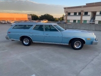 1976 Ford Torino for sale in Michigan (ID-155089)