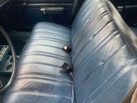 1976 Ford Torino for sale in Michigan (ID-155089)