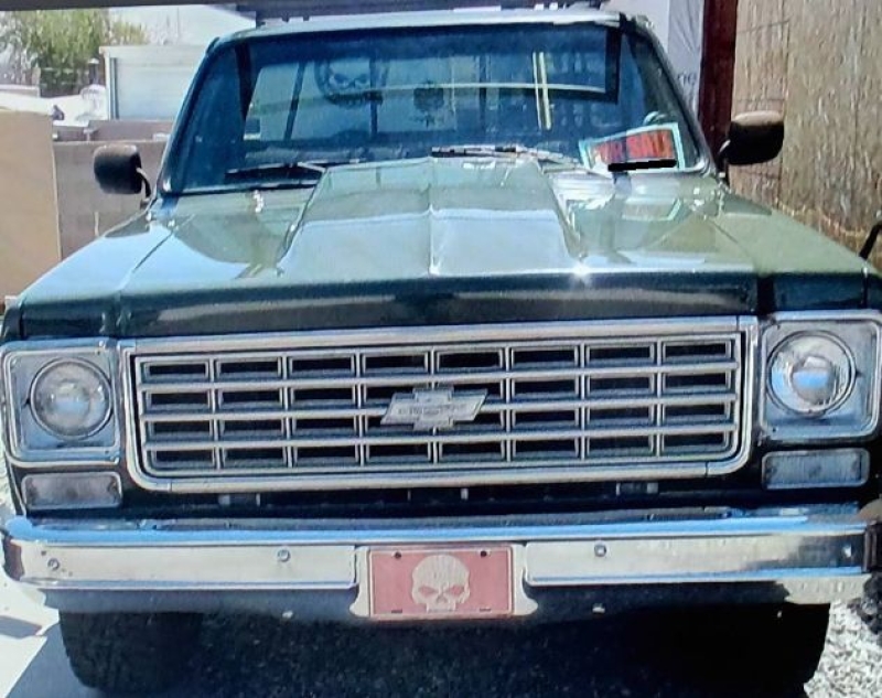1976 GMC Sierra for sale in Michigan (ID-144676)