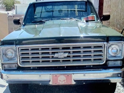1976 GMC Sierra for sale in Michigan