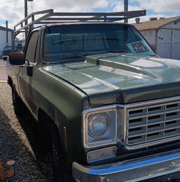 1976 GMC Sierra for sale in Michigan (ID-154754)