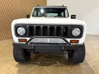 1976 International Scout II for sale in Michigan (ID-143864)