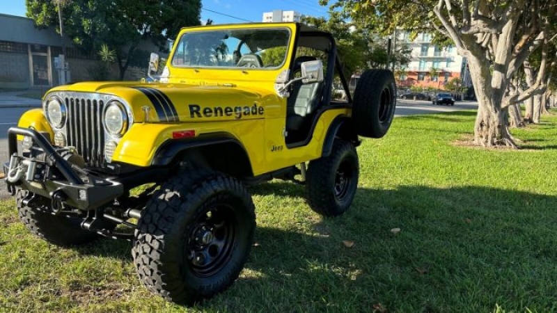1976 Jeep CJ for sale in Michigan (ID-109877) 1976 Jeep CJ for sale in Michigan (ID-109877)